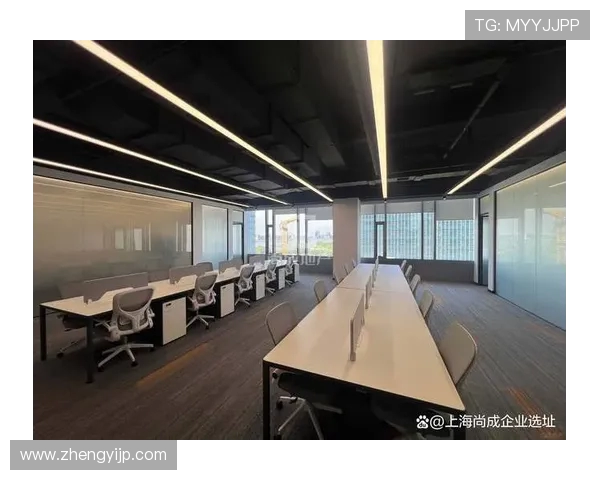 南京飞盘队的运营体系与战术创新探索之路 南京飞盘队的运营体系与战术创新探索之路