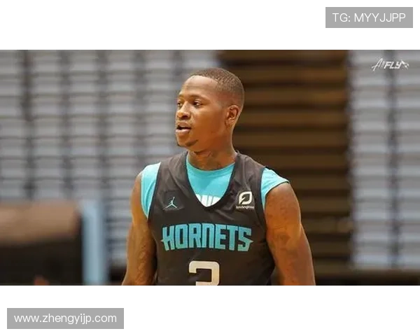 特里罗齐尔的篮球之路与成长历程揭秘