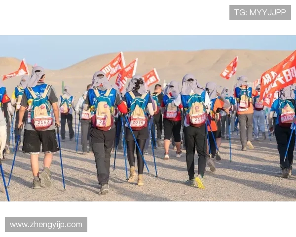 西安网球队运营分析:成就与挑战并存的竞技之路 西安网球队运营分析:成就与挑战并存的竞技之路