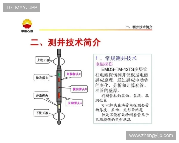 成都羽毛球队在杯赛中的技术表现分析与点评