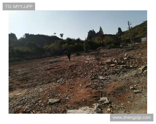 杭州攀岩队全新战略布局与整体压制革新之路探讨