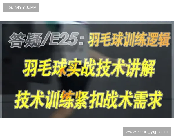杭州羽毛球队的战术控制与训练策略深度解析
